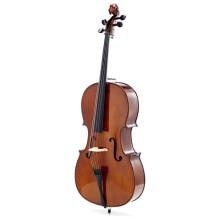 Violoncel