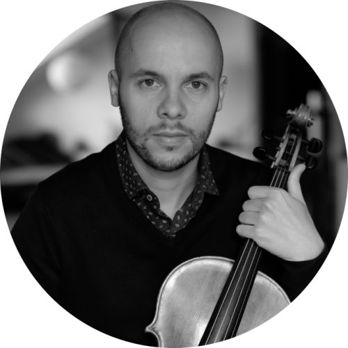 Set Pirastro Perpetual pentru violă